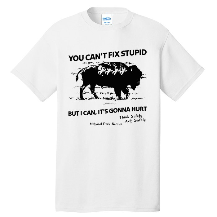 You Can’T Fix Stupid But I Can ItS Gonna Hurt Funny Quote Tall T-Shirt