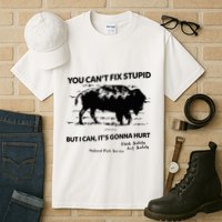 You Can’T Fix Stupid But I Can ItS Gonna Hurt Funny Quote Tall T-Shirt