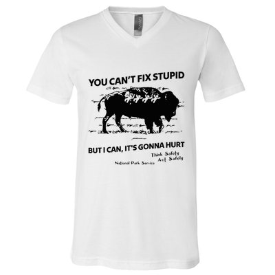 You Can’T Fix Stupid But I Can ItS Gonna Hurt Funny Quote V-Neck T-Shirt