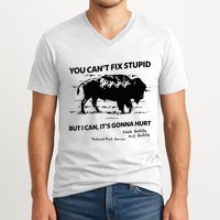 You Can’T Fix Stupid But I Can ItS Gonna Hurt Funny Quote V-Neck T-Shirt
