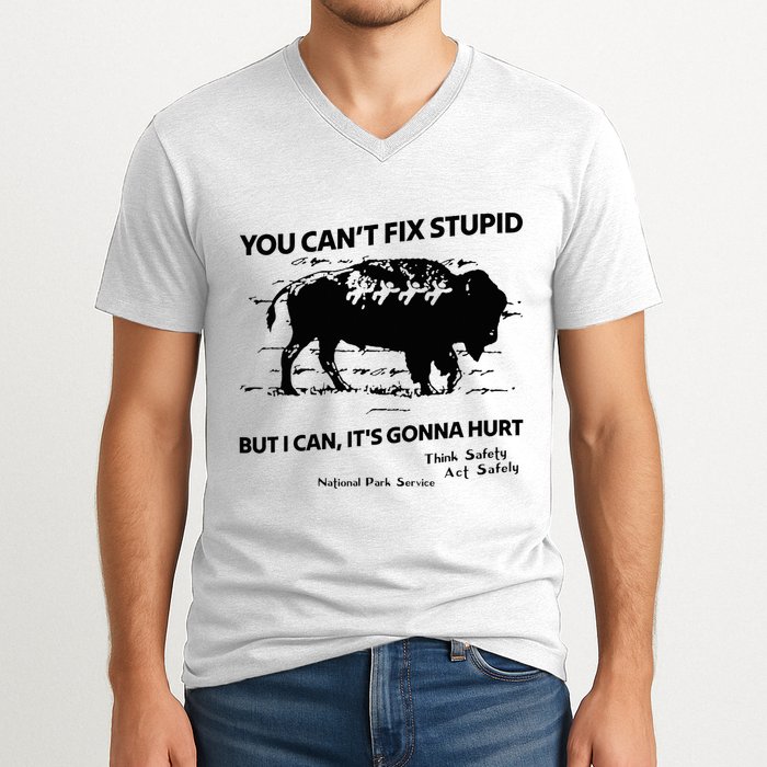 You Can’T Fix Stupid But I Can ItS Gonna Hurt Funny Quote V-Neck T-Shirt