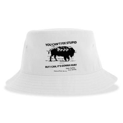 You Can’T Fix Stupid But I Can ItS Gonna Hurt Funny Quote Sustainable Bucket Hat
