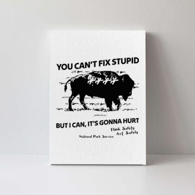 You Can’T Fix Stupid But I Can ItS Gonna Hurt Funny Quote Canvas