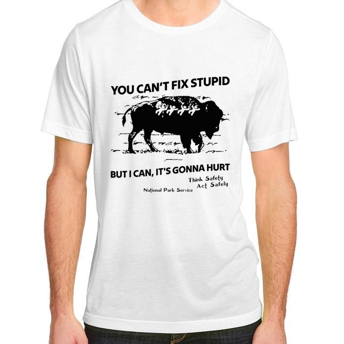 You Can’T Fix Stupid But I Can ItS Gonna Hurt Funny Quote Adult ChromaSoft Performance T-Shirt