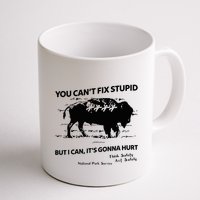 You Can’T Fix Stupid But I Can ItS Gonna Hurt Funny Quote Mug