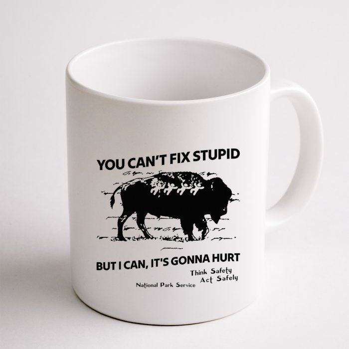 You Can’T Fix Stupid But I Can ItS Gonna Hurt Funny Quote Mug