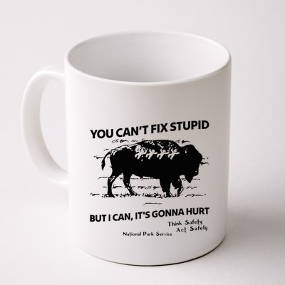 You Can’T Fix Stupid But I Can ItS Gonna Hurt Funny Quote Mug