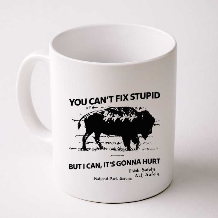 You Can’T Fix Stupid But I Can ItS Gonna Hurt Funny Quote Mug
