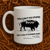 You Can’T Fix Stupid But I Can ItS Gonna Hurt Funny Quote Mug