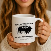 You Can’T Fix Stupid But I Can ItS Gonna Hurt Funny Quote Mug