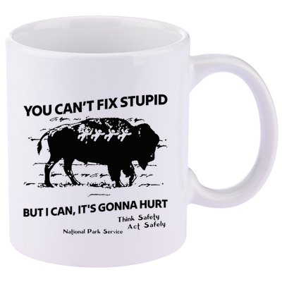 You Can’T Fix Stupid But I Can ItS Gonna Hurt Funny Quote 11oz C Handle Ceramic Mug