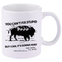 You Can’T Fix Stupid But I Can ItS Gonna Hurt Funny Quote 11oz C Handle Ceramic Mug