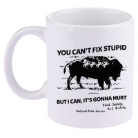 You Can’T Fix Stupid But I Can ItS Gonna Hurt Funny Quote 11oz C Handle Ceramic Mug