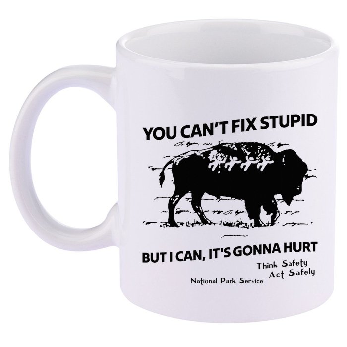 You Can’T Fix Stupid But I Can ItS Gonna Hurt Funny Quote 11oz C Handle Ceramic Mug
