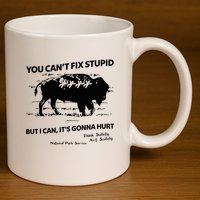 You Can’T Fix Stupid But I Can ItS Gonna Hurt Funny Quote 11oz C Handle Ceramic Mug