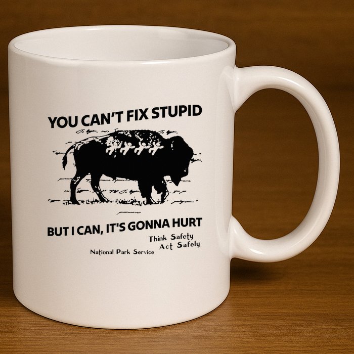 You Can’T Fix Stupid But I Can ItS Gonna Hurt Funny Quote 11oz C Handle Ceramic Mug