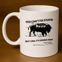 You Can’T Fix Stupid But I Can ItS Gonna Hurt Funny Quote 11oz C Handle Ceramic Mug