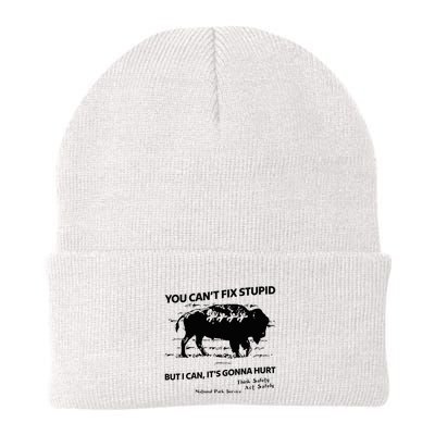 You Can’T Fix Stupid But I Can ItS Gonna Hurt Funny Quote Beanie