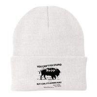You Can’T Fix Stupid But I Can ItS Gonna Hurt Funny Quote Beanie