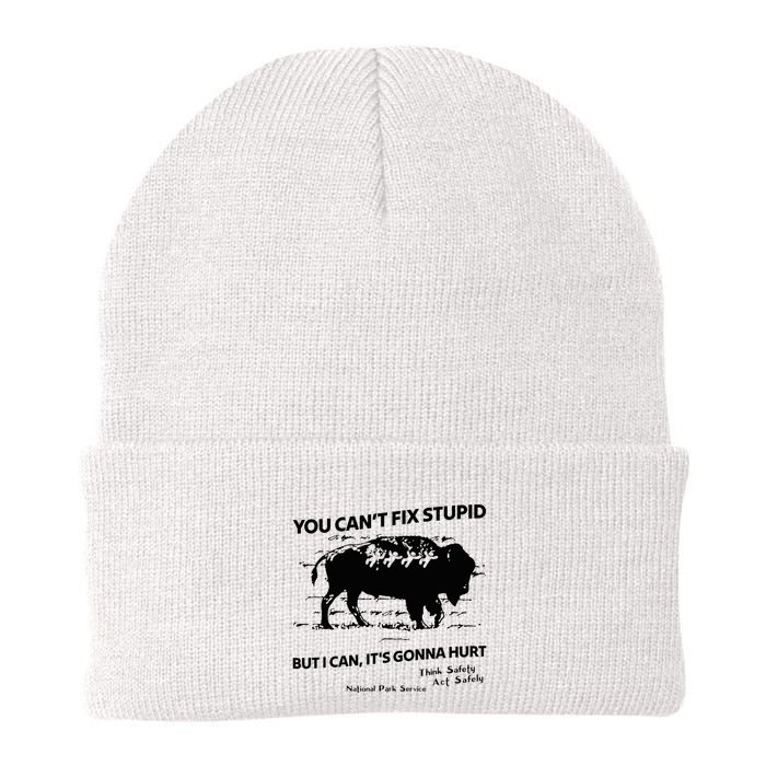 You Can’T Fix Stupid But I Can ItS Gonna Hurt Funny Quote Beanie