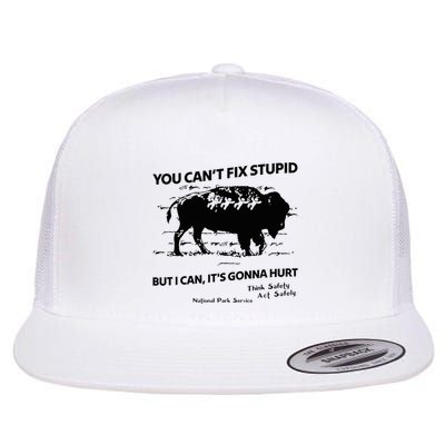 You Can’T Fix Stupid But I Can ItS Gonna Hurt Funny Quote Flat Bill Trucker Hat
