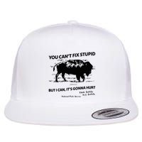 You Can’T Fix Stupid But I Can ItS Gonna Hurt Funny Quote Flatbill Hat