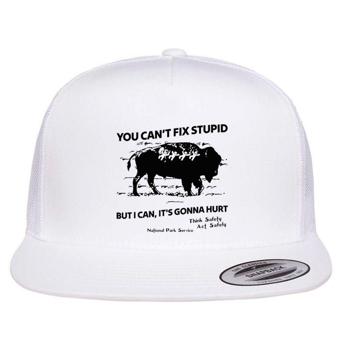 You Can’T Fix Stupid But I Can ItS Gonna Hurt Funny Quote Flatbill Hat