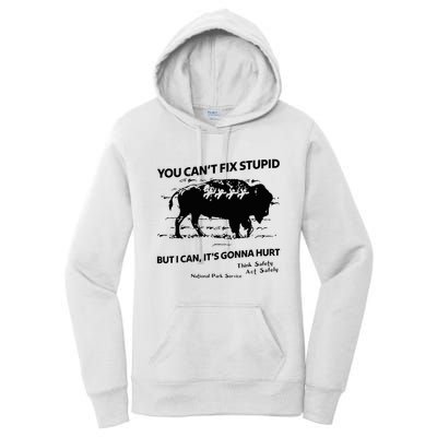 You Can’T Fix Stupid But I Can ItS Gonna Hurt Funny Quote Women's Pullover Hoodie