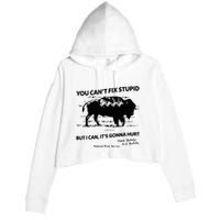 You Can’T Fix Stupid But I Can ItS Gonna Hurt Funny Quote Crop Fleece Hoodie