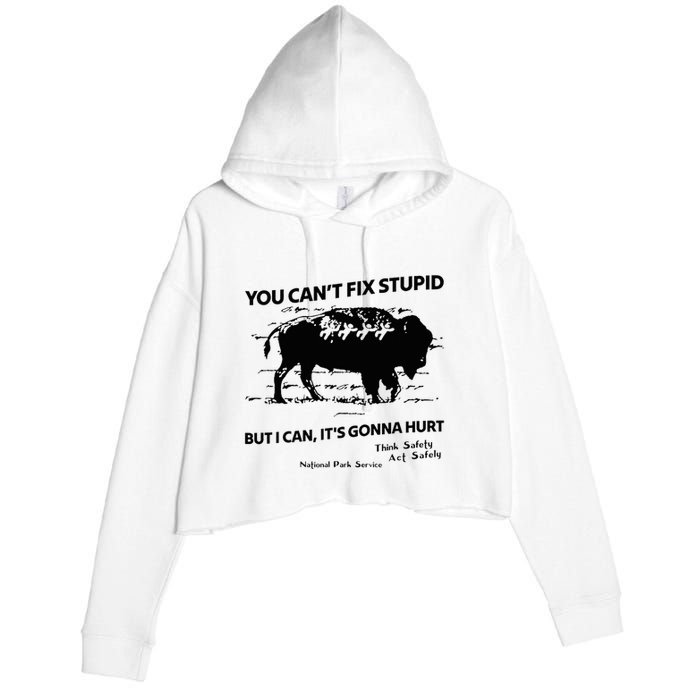 You Can’T Fix Stupid But I Can ItS Gonna Hurt Funny Quote Crop Fleece Hoodie