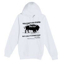 You Can’T Fix Stupid But I Can ItS Gonna Hurt Funny Quote Premium Pullover Hoodie