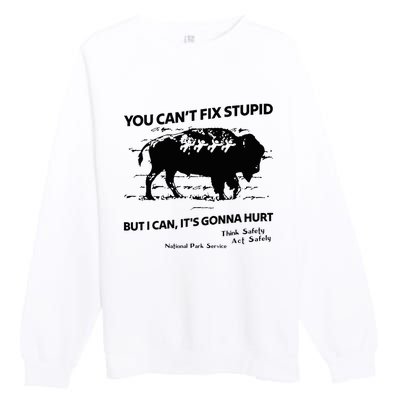 You Can’T Fix Stupid But I Can ItS Gonna Hurt Funny Quote Premium Crewneck Sweatshirt