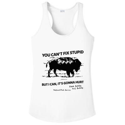 You Can’T Fix Stupid But I Can ItS Gonna Hurt Funny Quote Ladies PosiCharge Competitor Racerback Tank