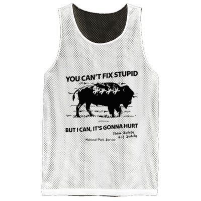 You Can’T Fix Stupid But I Can ItS Gonna Hurt Funny Quote Mesh Reversible Basketball Jersey Tank