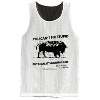 You Can’T Fix Stupid But I Can ItS Gonna Hurt Funny Quote Mesh Reversible Basketball Jersey Tank