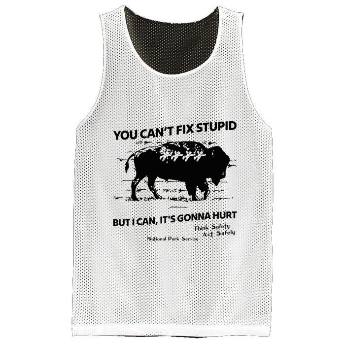 You Can’T Fix Stupid But I Can ItS Gonna Hurt Funny Quote Mesh Reversible Basketball Jersey Tank