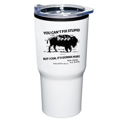 You Can’T Fix Stupid But I Can ItS Gonna Hurt Funny Quote Tumbler