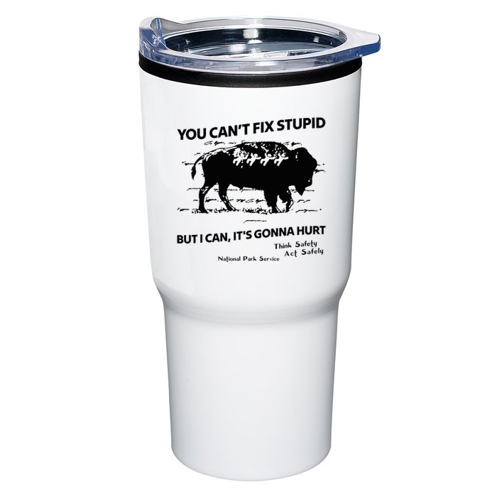 You Can’T Fix Stupid But I Can ItS Gonna Hurt Funny Quote Tumbler