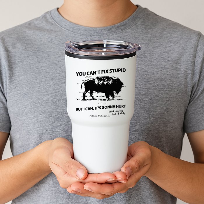 You Can’T Fix Stupid But I Can ItS Gonna Hurt Funny Quote Tumbler