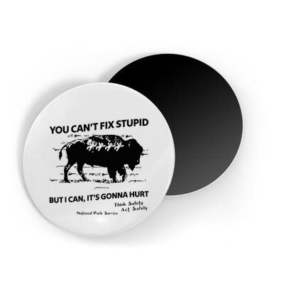 You Can’T Fix Stupid But I Can ItS Gonna Hurt Funny Quote Magnet