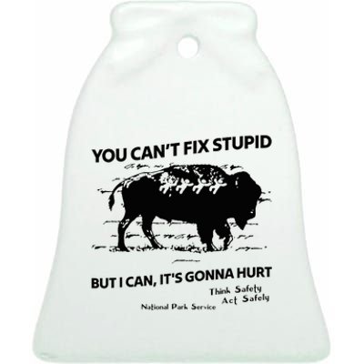 You Can’T Fix Stupid But I Can ItS Gonna Hurt Funny Quote Ceramic Bell Ornament