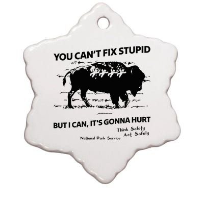 You Can’T Fix Stupid But I Can ItS Gonna Hurt Funny Quote Ceramic Star Ornament