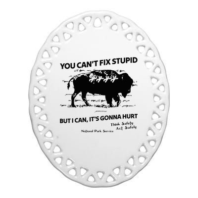 You Can’T Fix Stupid But I Can ItS Gonna Hurt Funny Quote Ceramic Oval Ornament