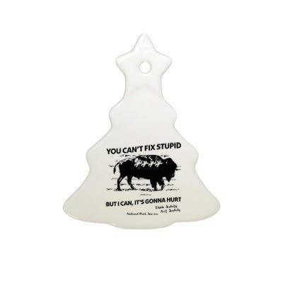 You Can’T Fix Stupid But I Can ItS Gonna Hurt Funny Quote Ceramic Tree Ornament