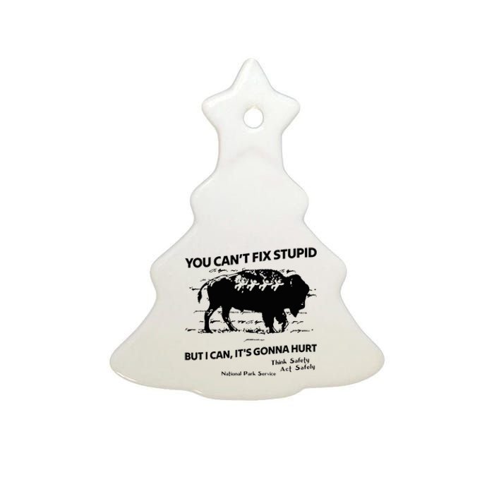 You Can’T Fix Stupid But I Can ItS Gonna Hurt Funny Quote Ceramic Tree Ornament