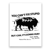 You Can’T Fix Stupid But I Can ItS Gonna Hurt Funny Quote Poster