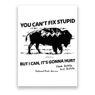 You Can’T Fix Stupid But I Can ItS Gonna Hurt Funny Quote Poster