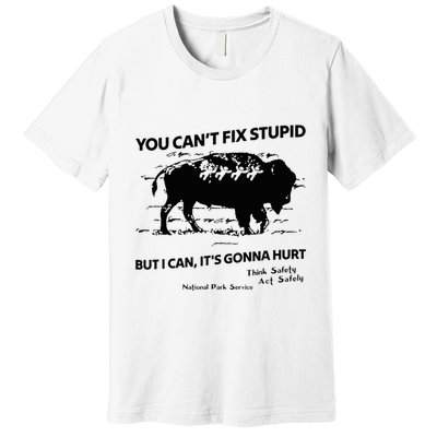 You Can’T Fix Stupid But I Can ItS Gonna Hurt Funny Quote Premium T-Shirt