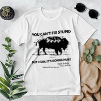 You Can’T Fix Stupid But I Can ItS Gonna Hurt Funny Quote Premium T-Shirt