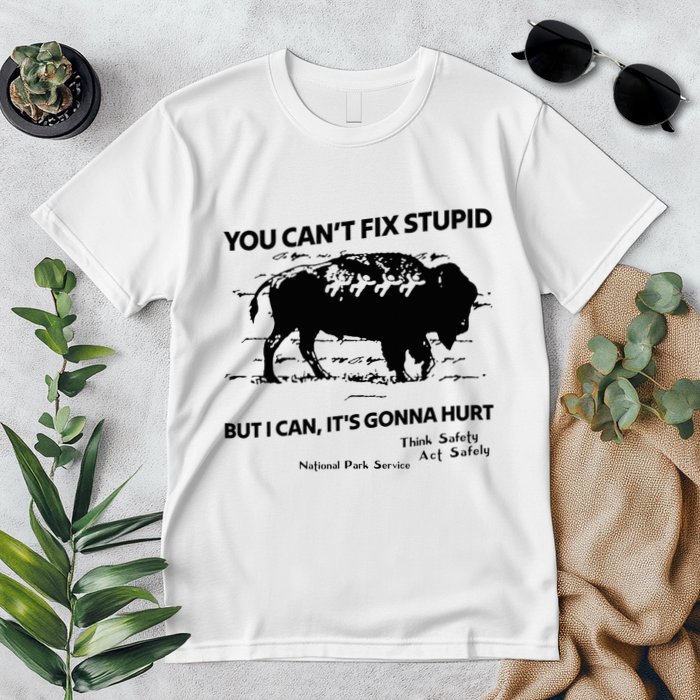 You Can’T Fix Stupid But I Can ItS Gonna Hurt Funny Quote Premium T-Shirt